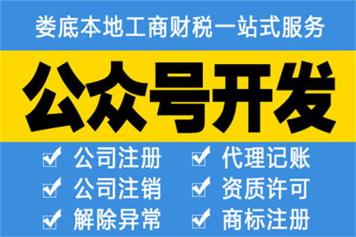 娄底工商执照办理与代理记账服务全解析 选择哪家更安心